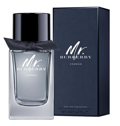 burberry mr burberry cologne